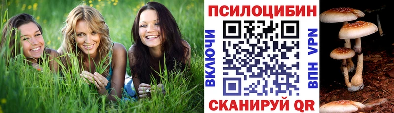 Галлюциногенные грибы GOLDEN TEACHER  где можно купить наркотик  Краснознаменск 