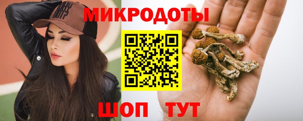 Галлюциногенные грибы Cubensis  Вход с VPN  Краснознаменск 