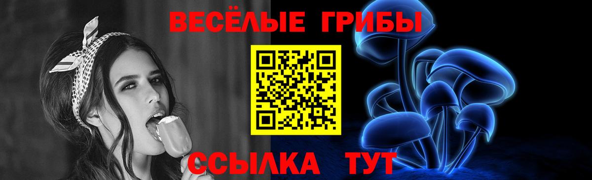 Бошки Шишки Краснознаменск