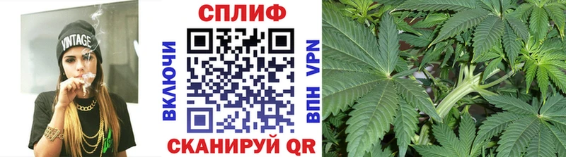 Канабис Bruce Banner Краснознаменск